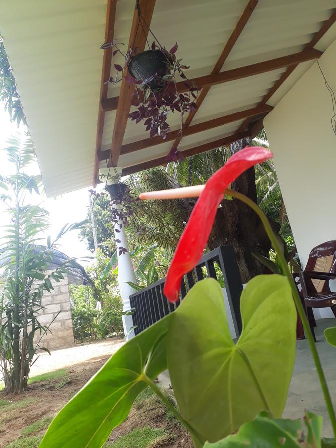 Akila Holiday Resort Habarana Exterior photo
