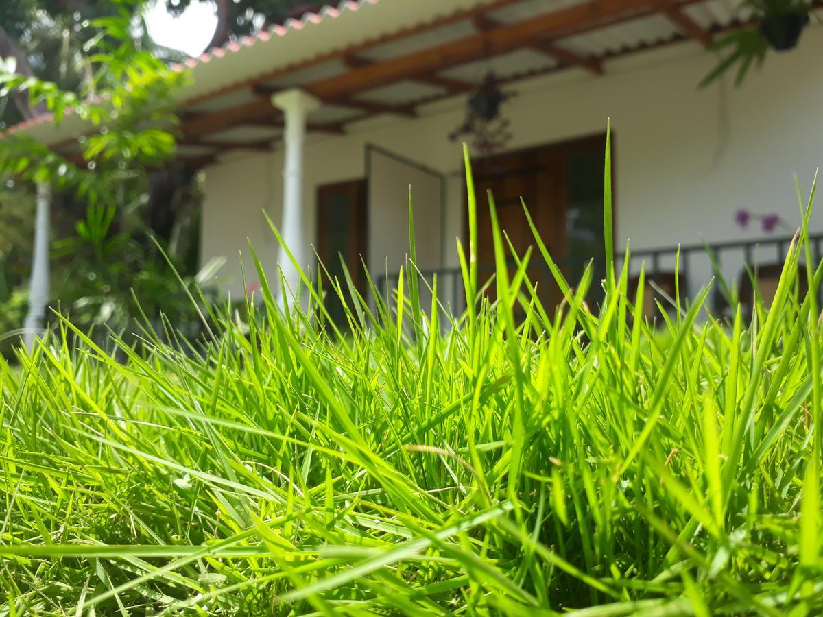 Akila Holiday Resort Habarana Exterior photo